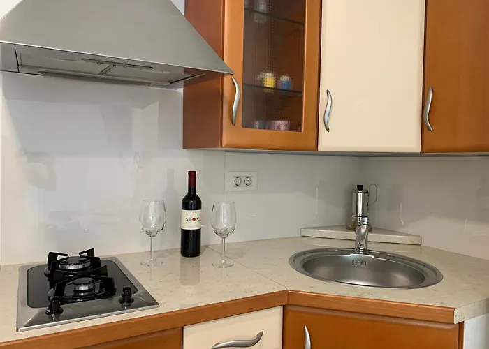 Apartment Studio Salvetti