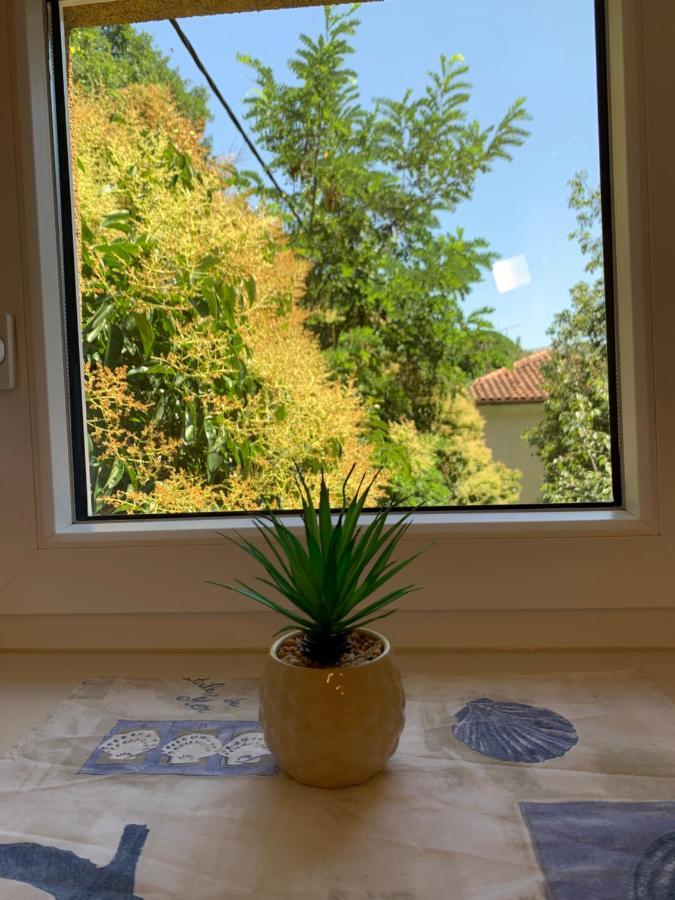 Apartment Salvetti *